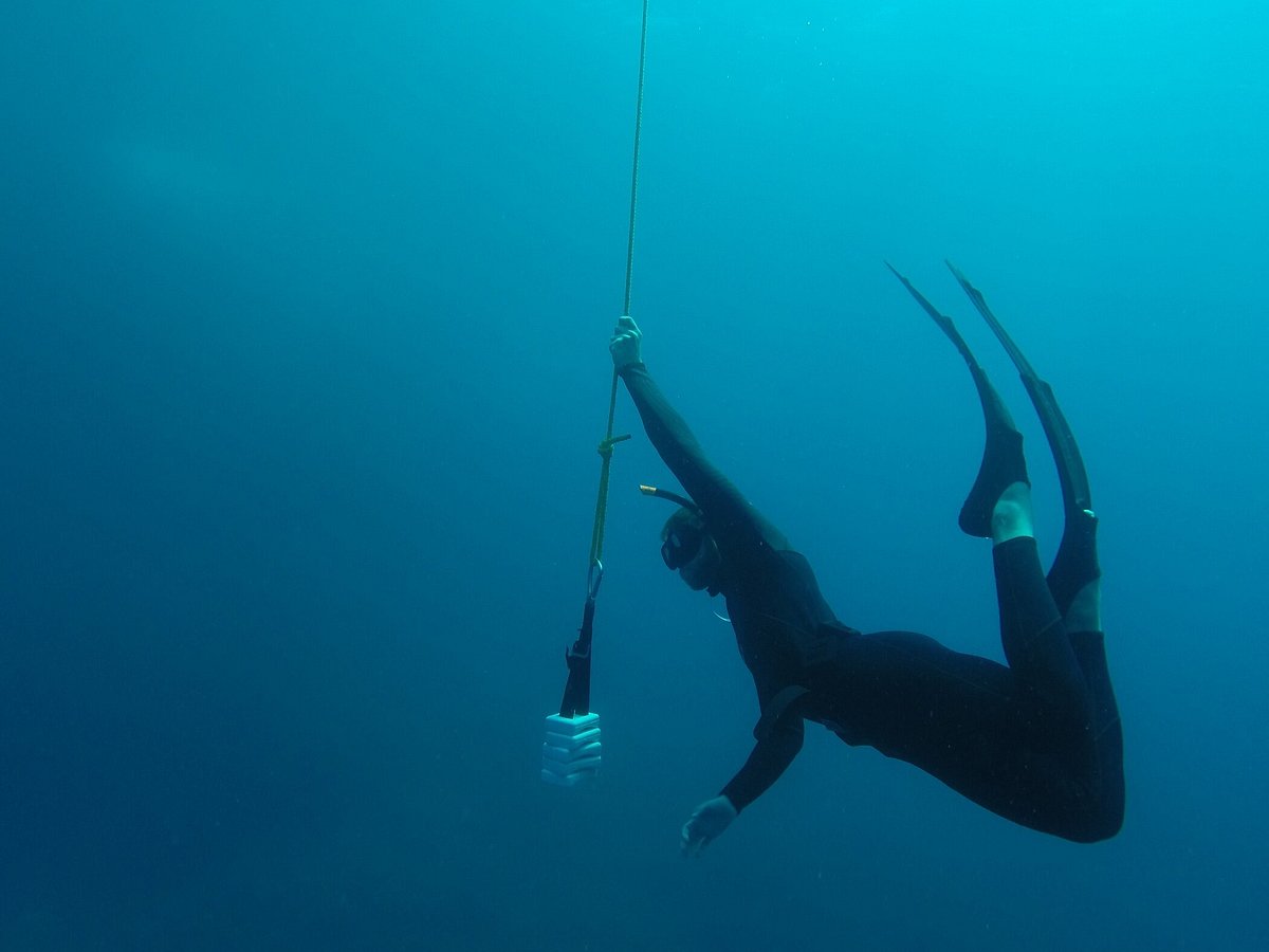 79 Spearfishing ideas  spearfishing, diving, free diving