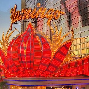 Pinball Hall of Fame to move near south Las Vegas Strip 