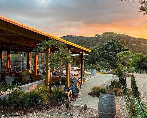 waiheke island day trip