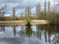 Best spots for nature walks in UK including Brandon Marsh and Looe