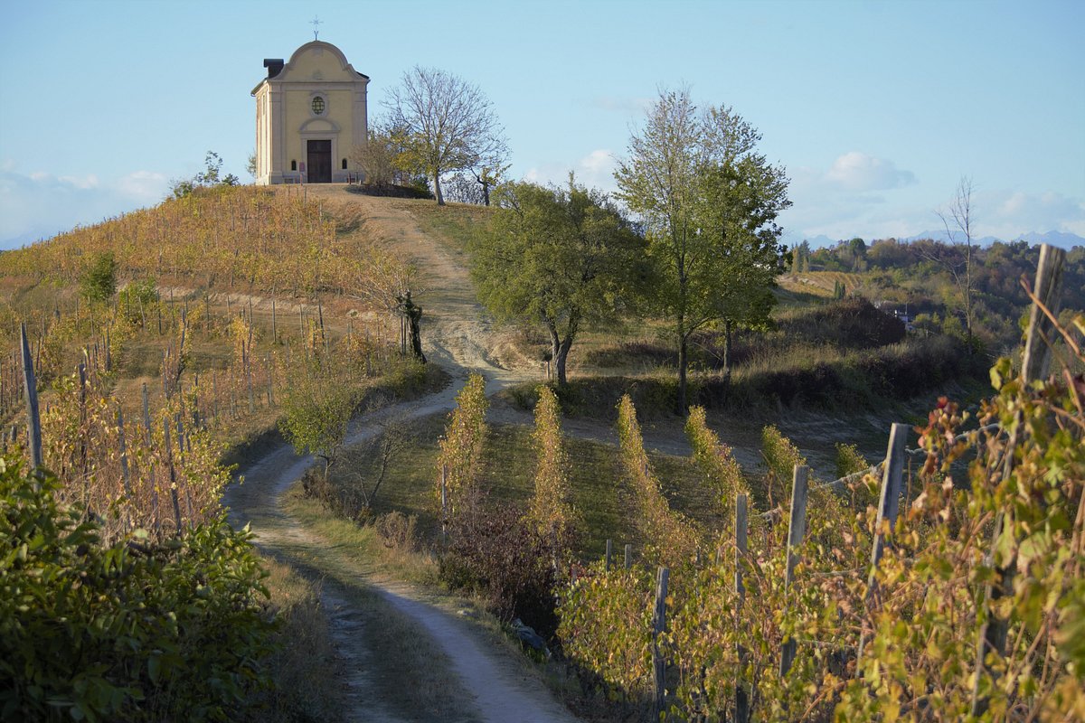 Il restauro di San Michele Arcangelo di Castelnuovo Berardenga