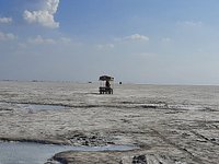 Best Time to Visit Rann of Kutch. Kutch, a mesmerizing region in the…, by  Travel Tour Guru
