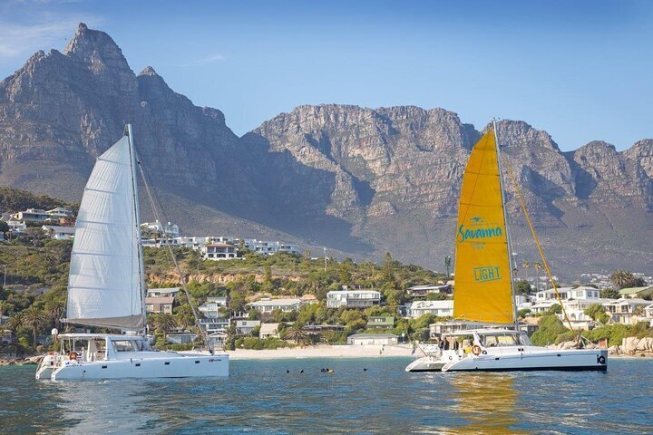 THE 10 BEST Cape Town Boat Tours (Updated 2023) - Tripadvisor