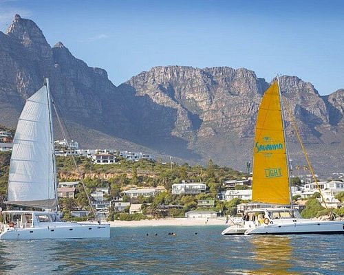 cape town boat trips