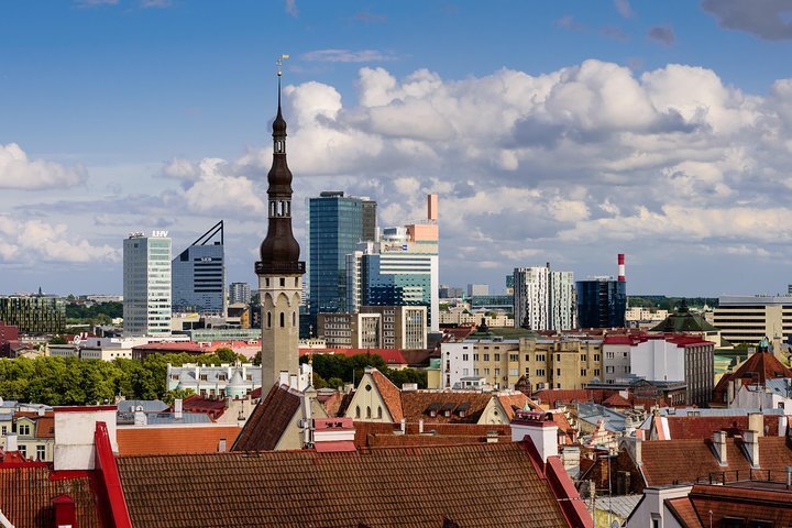 2024 (Tallinn) Tallinn Private Panoramic Tour