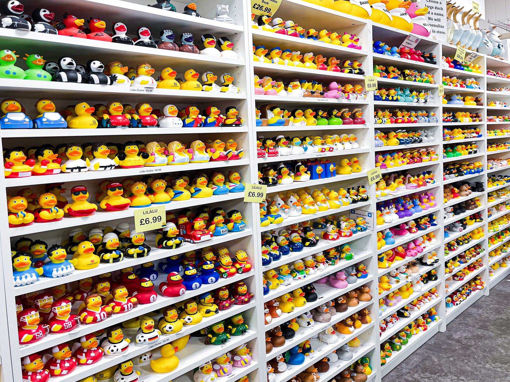 Rubber duck retail online