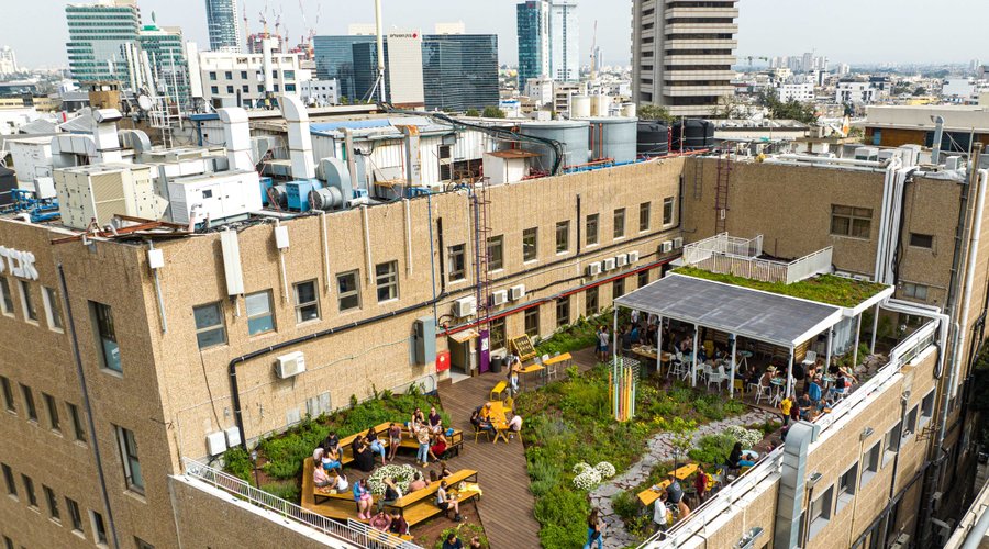 Drone view of Green rooftop