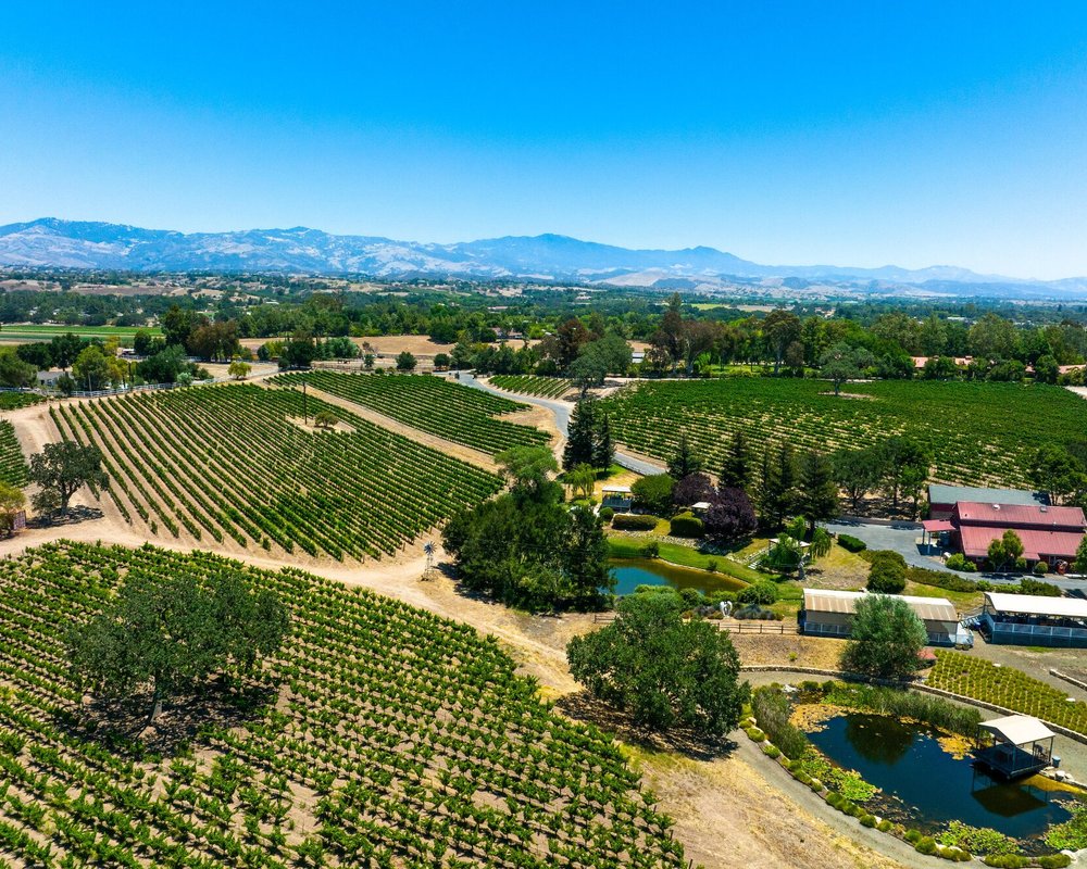 THE 10 BEST Santa Ynez Valley Wineries & Vineyards (Updated 2023)