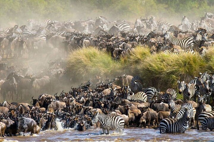 2024 Nairobi Maasai Mara 3 Day Guided Tour   Caption 