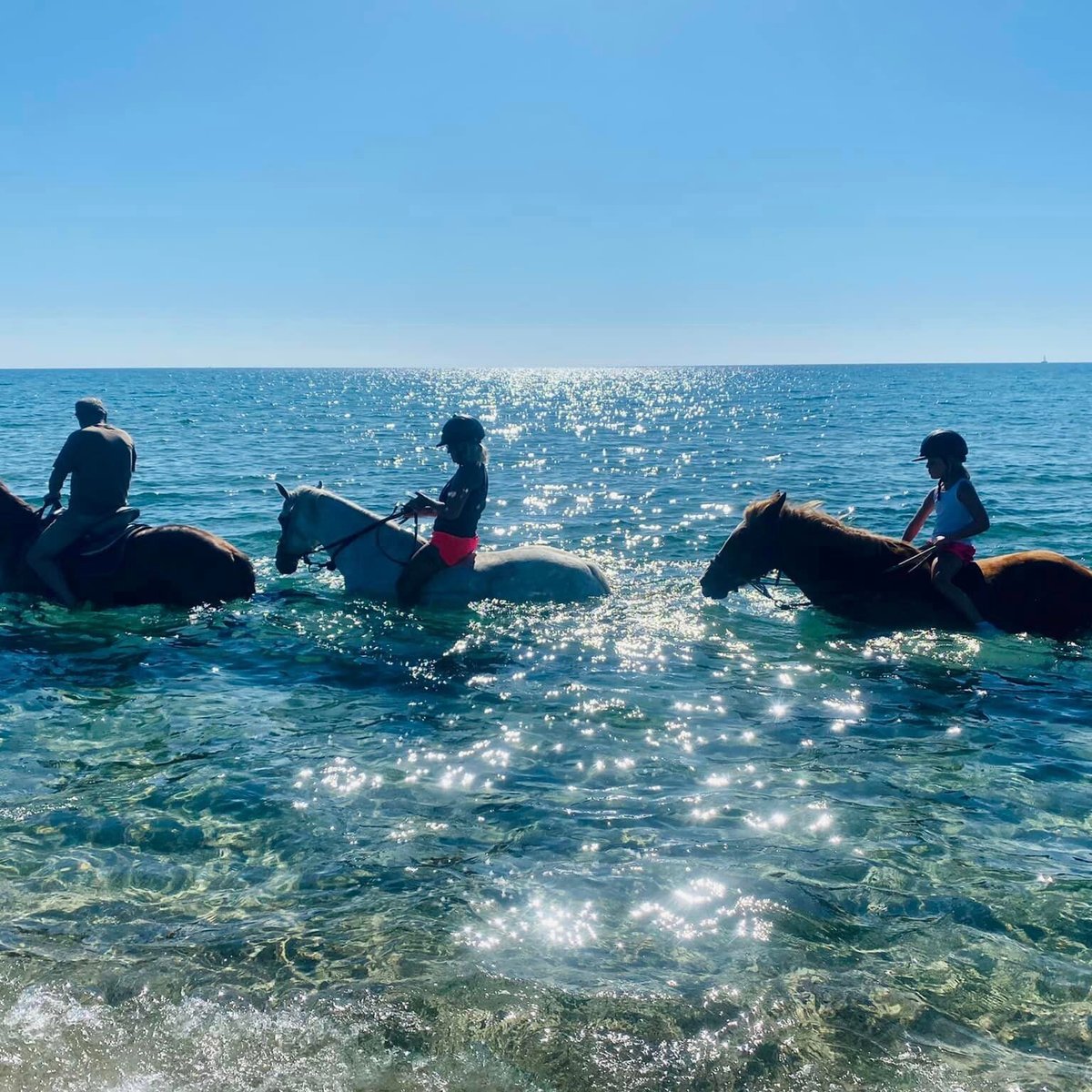 Trio detido após matar cavalo para comer no litoral norte - MZL10