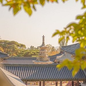 gyeongju visit korea