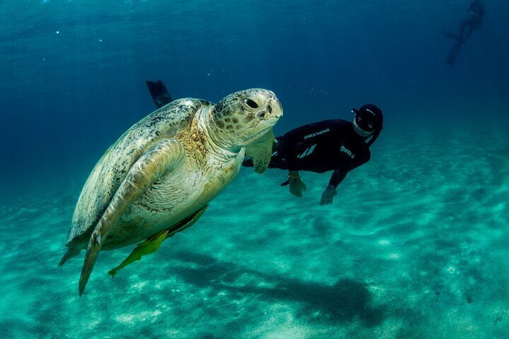 2023 Isla Mujeres Snorkeling Tour