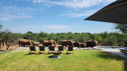 MBAZO SAFARI LODGE - Updated 2023 Prices & Reviews (Pilanesberg ...