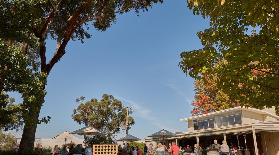 Lawn games and picnics in the Wine Garden