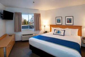 Room & Suite