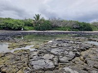 Insulated Water Bottle: Kaloko-Honokōhau National Historical Park