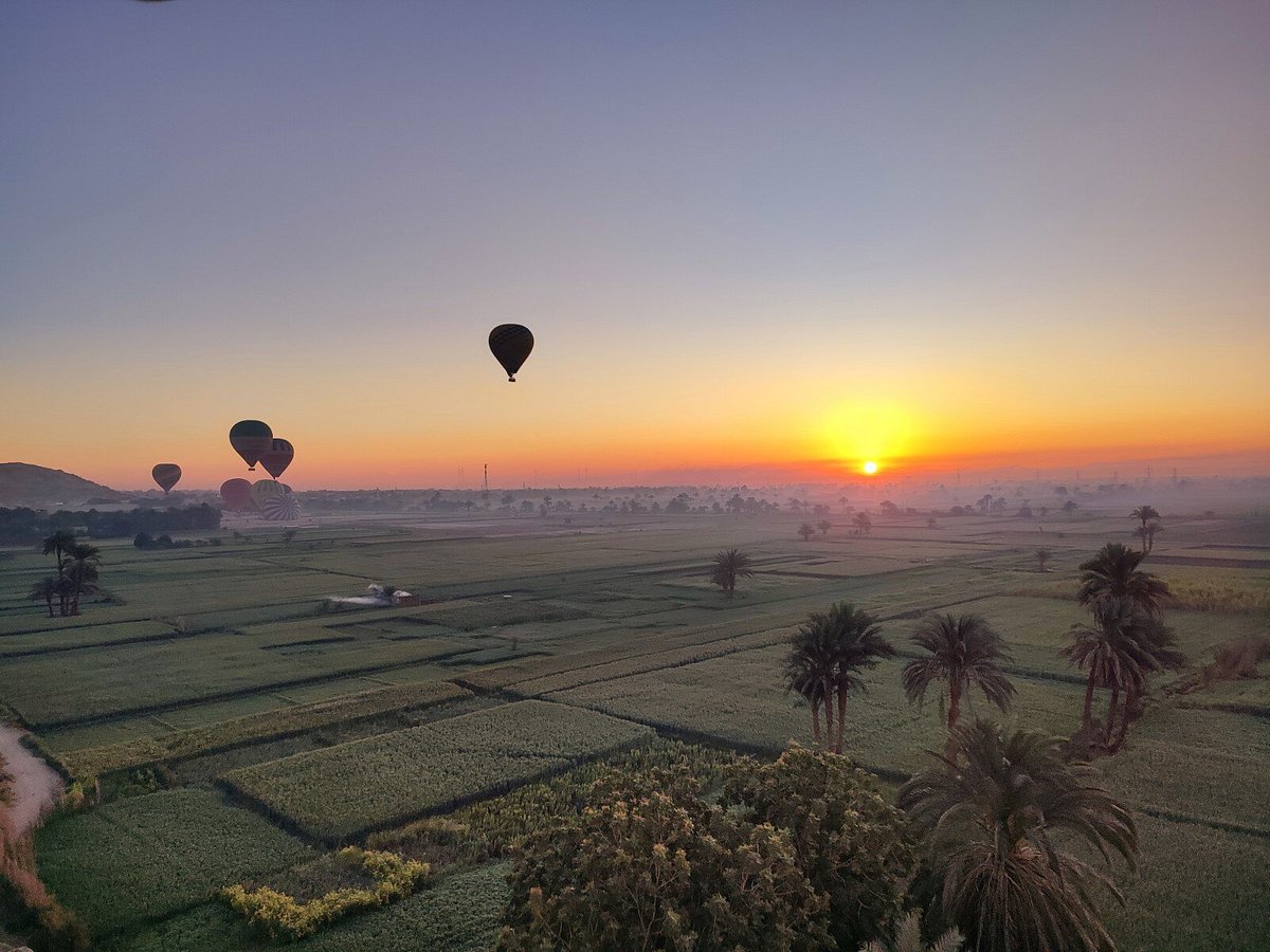 gevolg Vesting voordelig Dream Balloons (Luxor) - All You Need to Know BEFORE You Go
