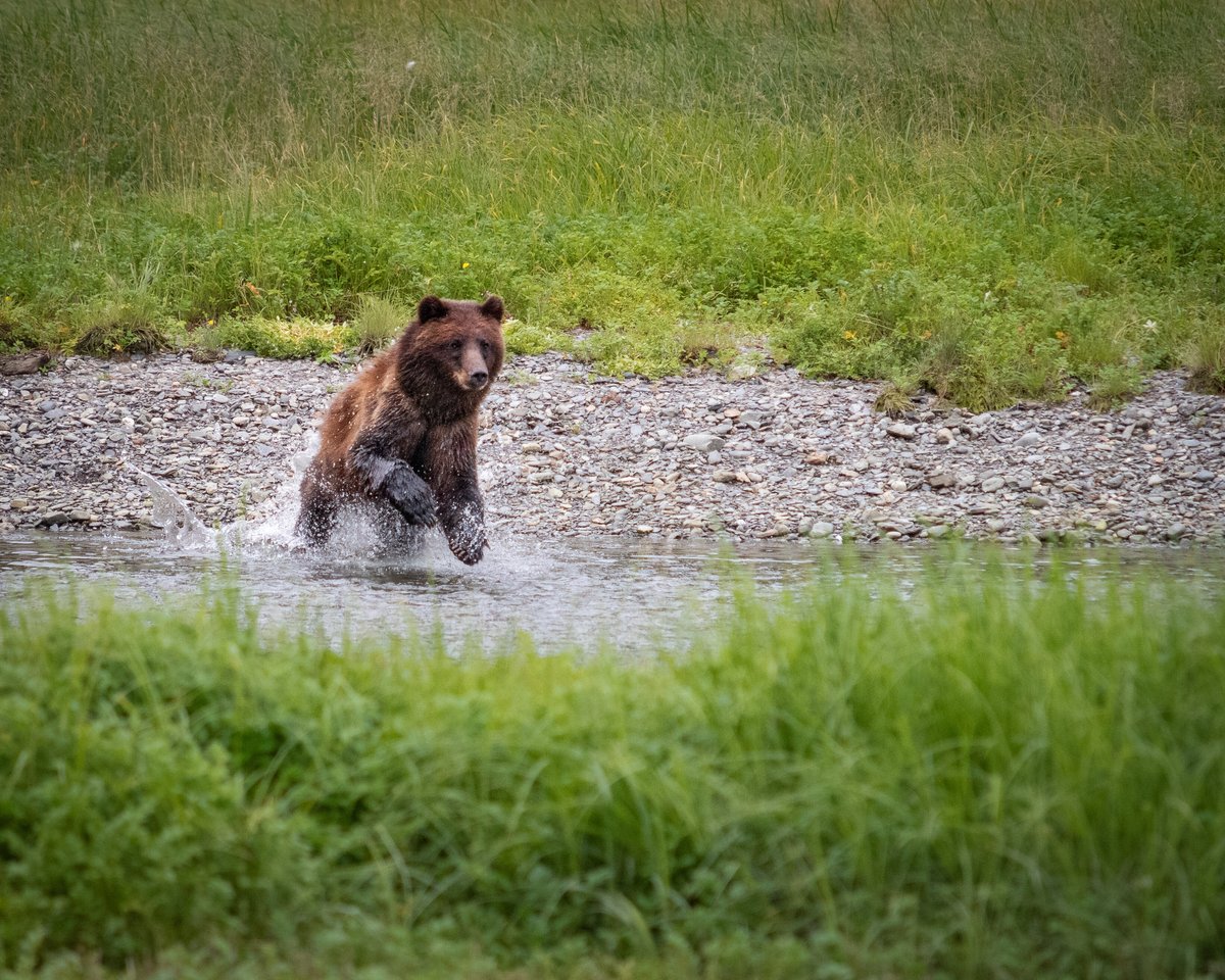 Bear Creek Outfitters (Juneau) - All You Need to Know BEFORE You Go