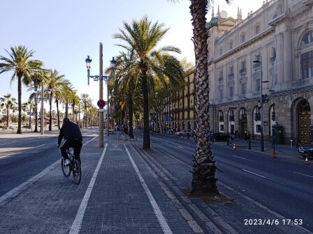 Imagen 8 de Passeig del Colom