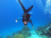 Scuba Mau (Cozumel) - All You Need to Know BEFORE You Go