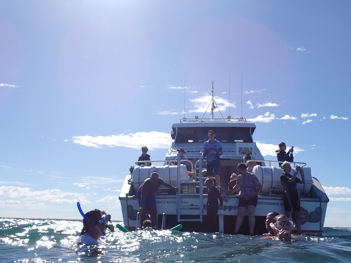 تعليقات حول ‪Lobster Shack Sea Lion Tour‬ ‪Cervantes‬, أستراليا Tripadvisor