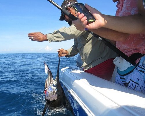 THE 5 BEST Panama City Fishing Charters & Tours (Updated 2024)