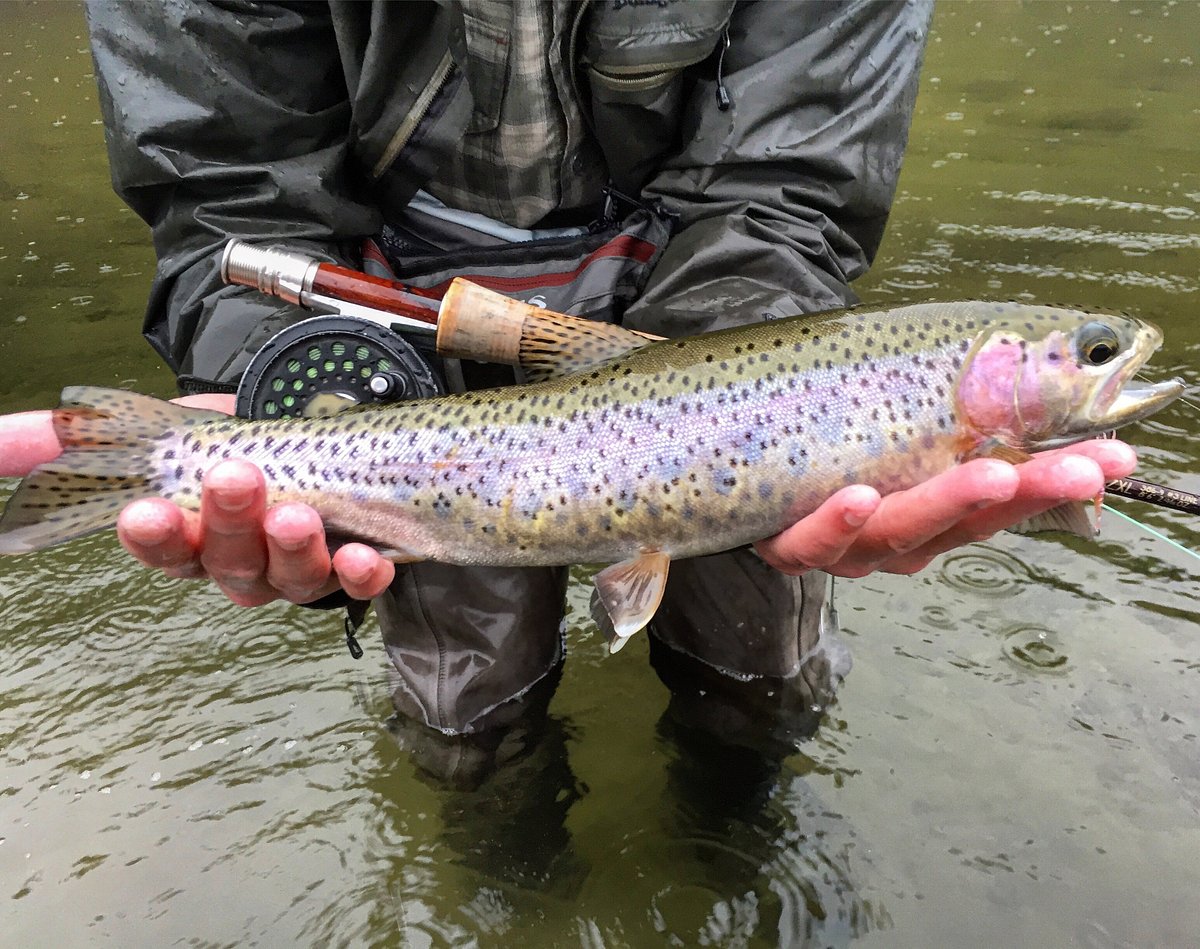 BC Best Fishing  Whistler Blackcomb