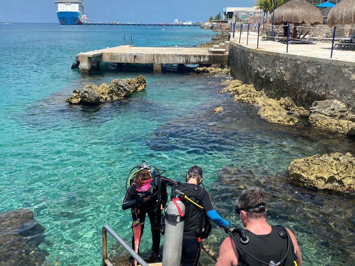 Aqua Safari Dive Shop (Cozumel) - All You Need to Know BEFORE You Go