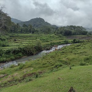 Stream adjacent to the villas