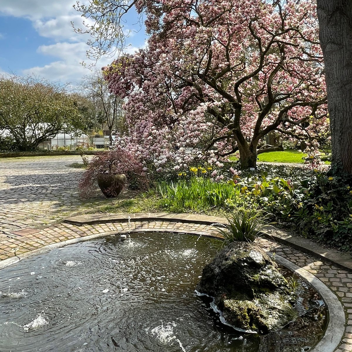 BOTANISCHER GARTEN DER STADT NEUSS (2025) All You Should Know BEFORE