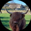 Janette R