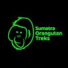 Sumatra Orangutan Treks