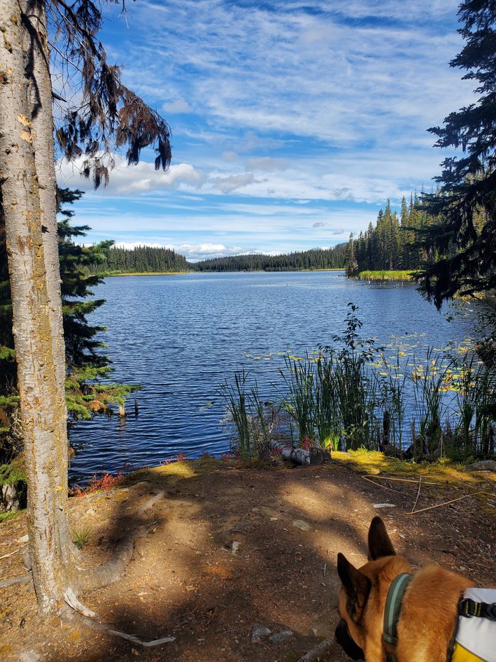 Dee Lake Wilderness Resort Updated 2023 Reviews And Photos Lake