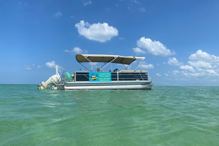 2024 4 Hour Dolphin and Sandbar Cruise