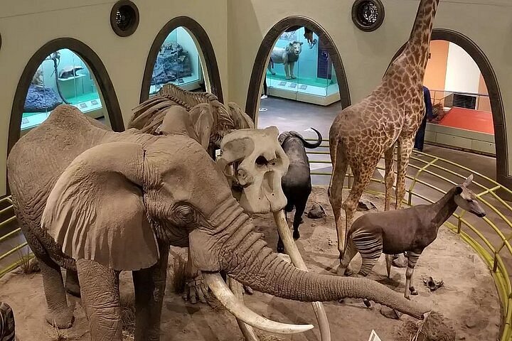 2024 Nairobi National Museum, Giraffe Centre and Nairobi National Park