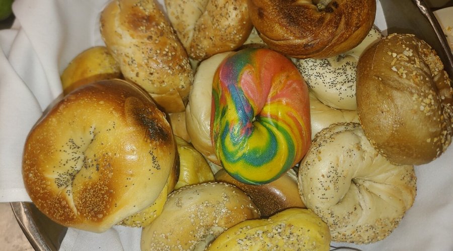 Pigeon Bagels