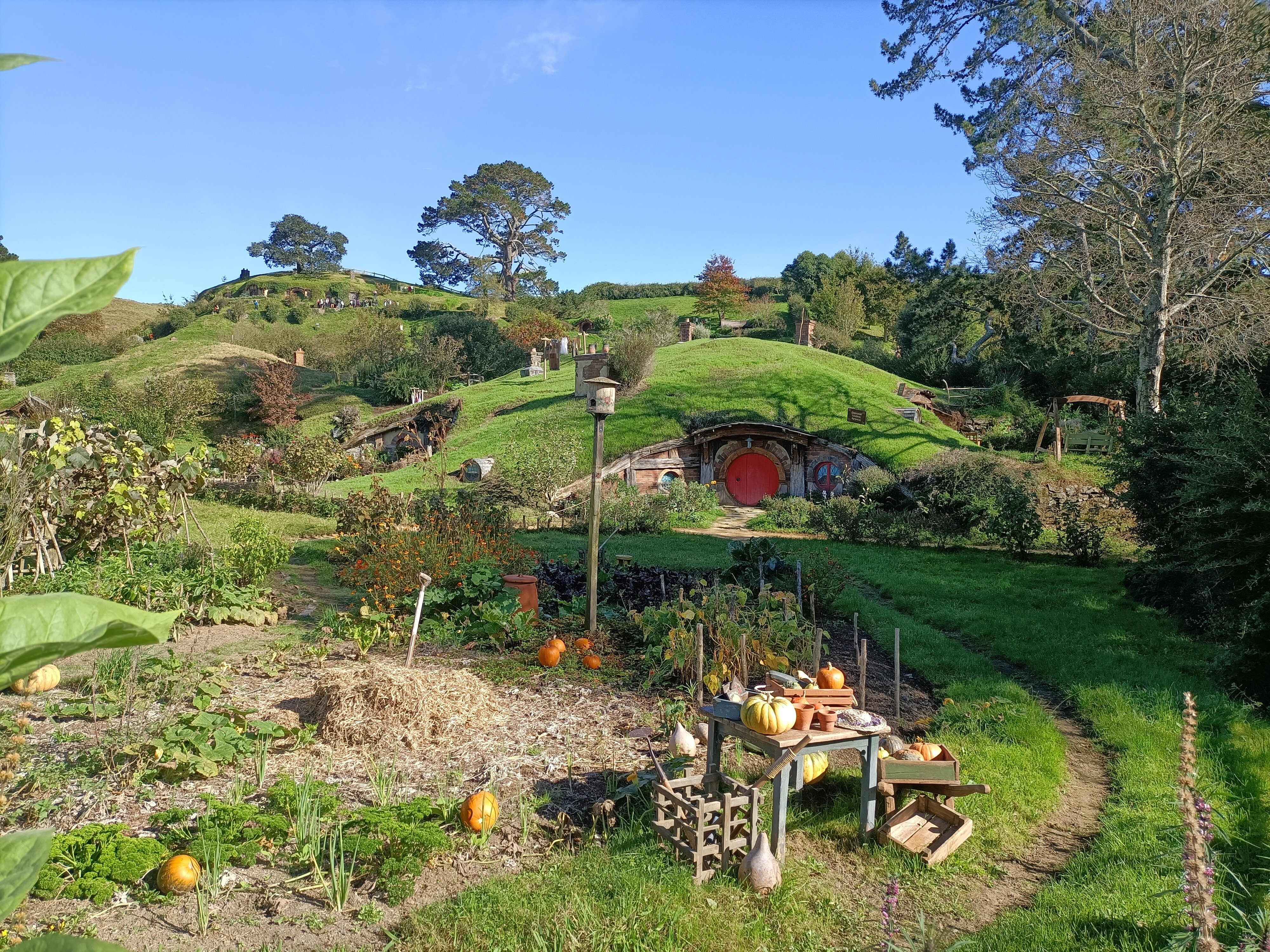 2023 Hobbiton & Rotorua Small Group Tour Including Te Puia From Auckland