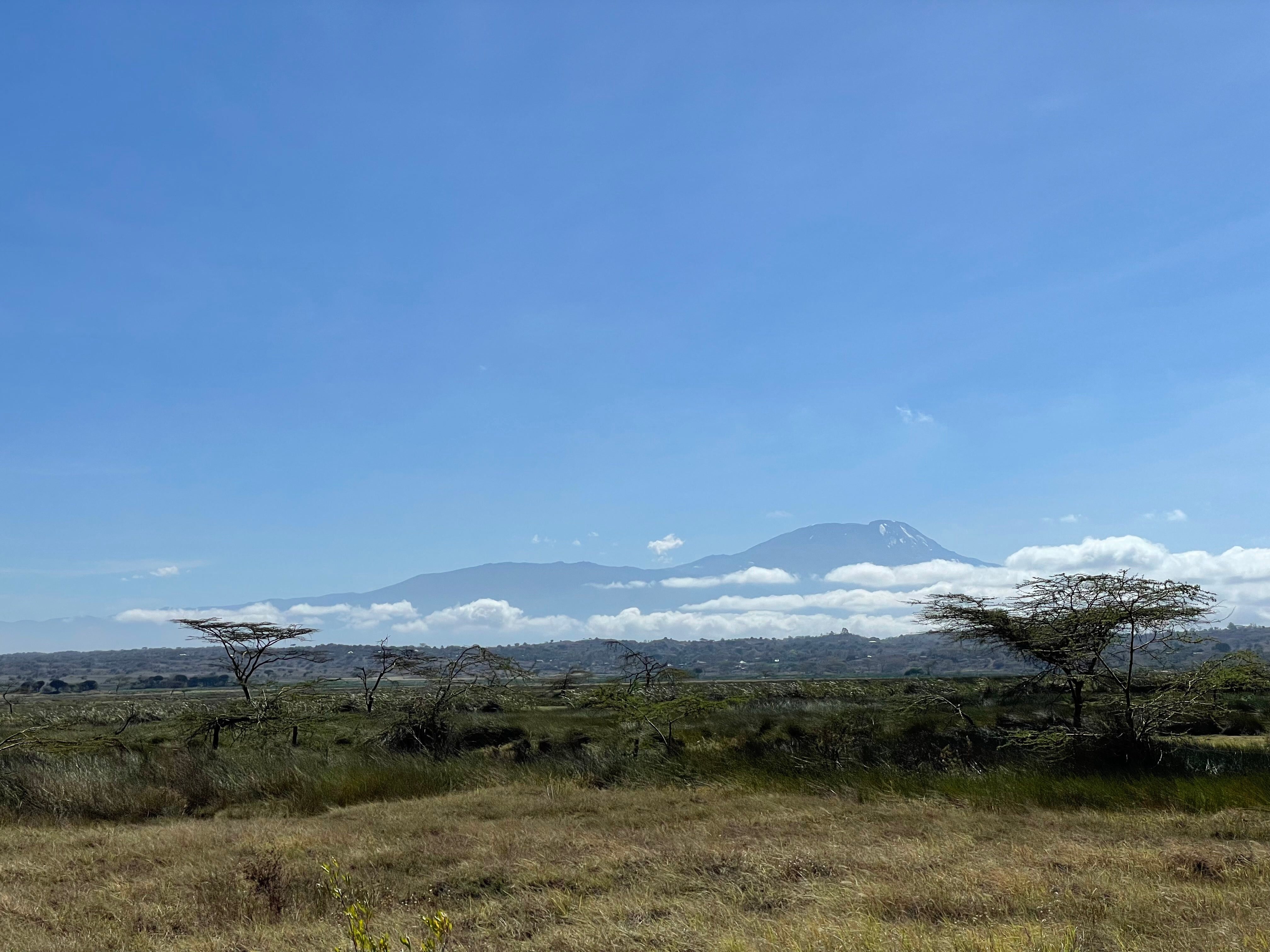 MOUNTAIN’S HUG - B&B Reviews (Ngarenanyuki, Tanzania)