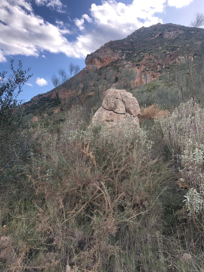 Imagen 10 de Cortijo El Nacimiento Del Rincon