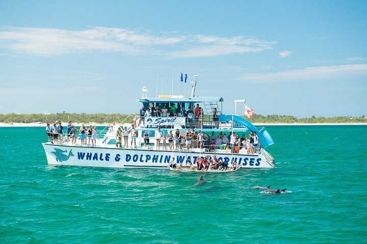 2024 Port Stephens: Splash 'n' Slide Dolphin Cruise