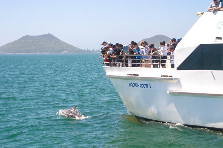 2023 Port Stephens: Dolphin Discovery Cruise