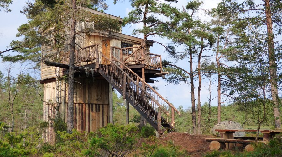 Wilderness Tower - Summer