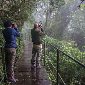 21 pontos turísticos de Teresópolis que você não pode perder