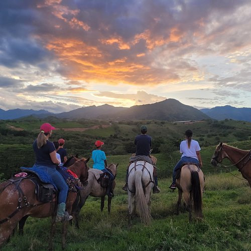 THE 5 BEST Valle del Cauca Department Horseback Riding Tours