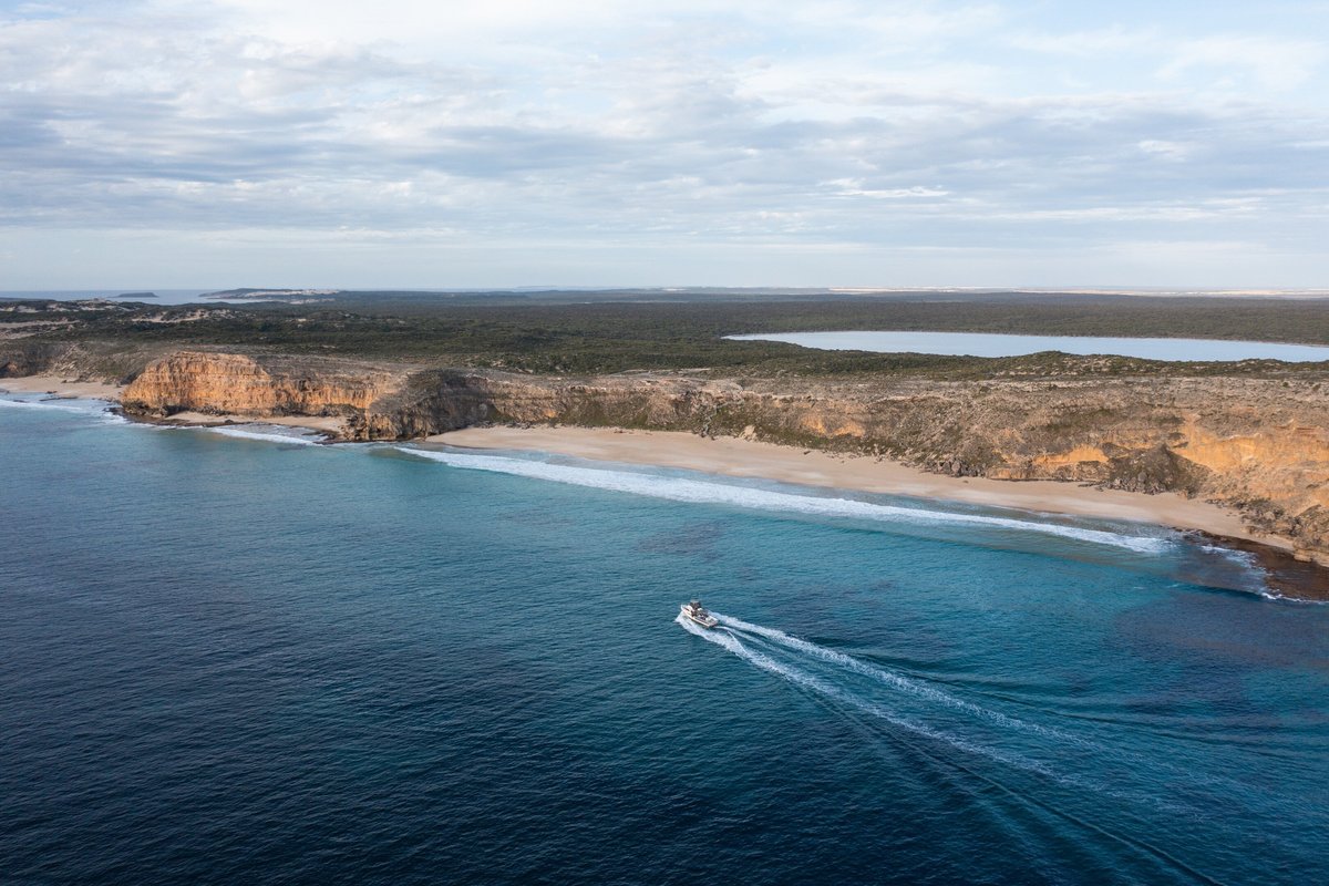 Marion Bay Ocean Safari Australia Address Phone Number Tripadvisor