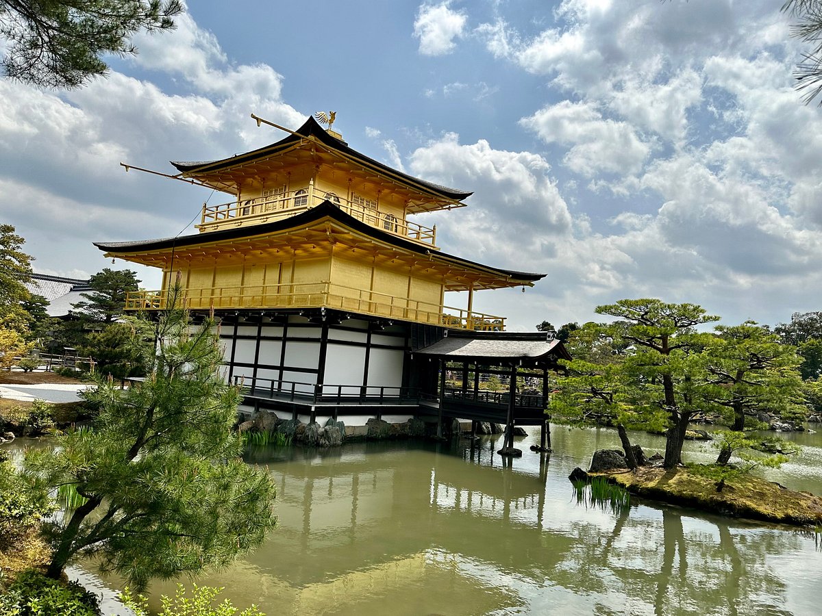Stunning place and amazing art collection - Miho Museum, Koka Traveller  Reviews - Tripadvisor