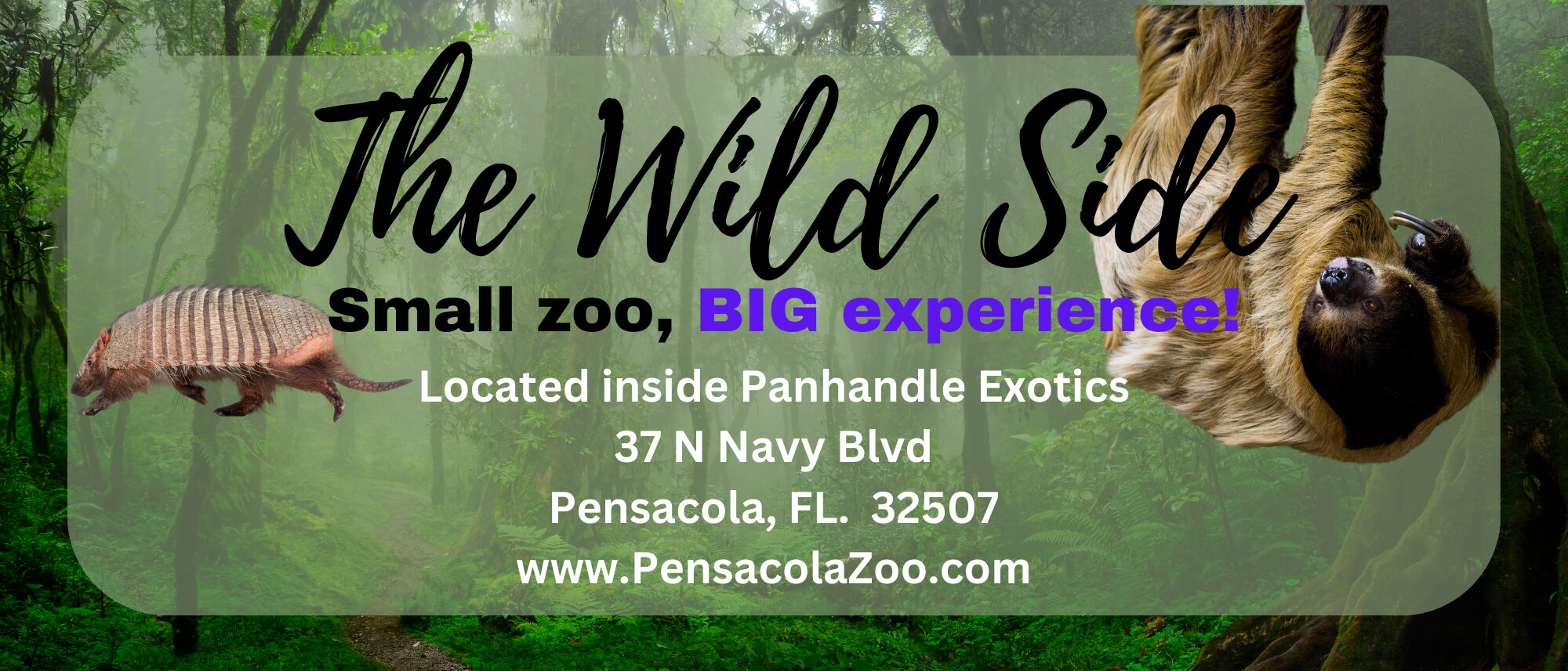 Panhandle Exotics All You Need to Know BEFORE You Go 2024