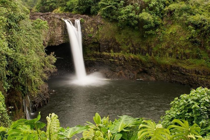 2023 Big Island Circle Tour And Volcano: Daytime Coffee, Wine, Turtles ...