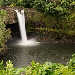 Long Ears Hawaiian Coffee (Honokaa) - All You Need to Know BEFORE You Go