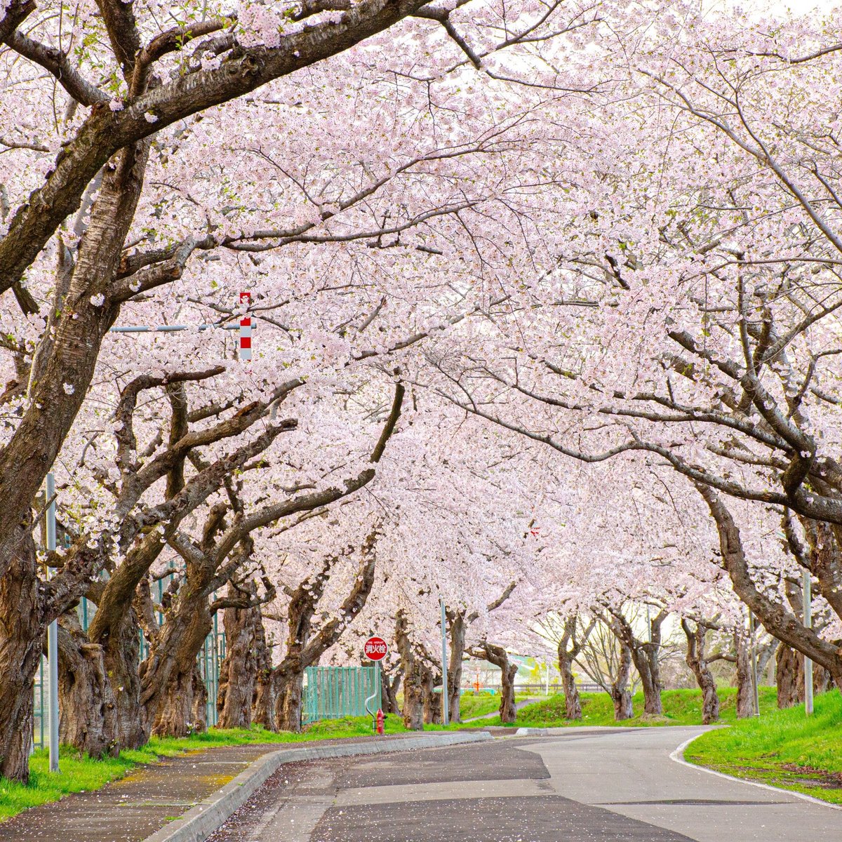 ホテル・ラ・ジェント・プラザ函館北斗 (Hokuto, Japan): Address, Phone Number - Tripadvisor